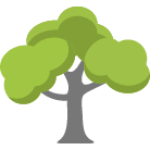 Nashville Tree Removal Service