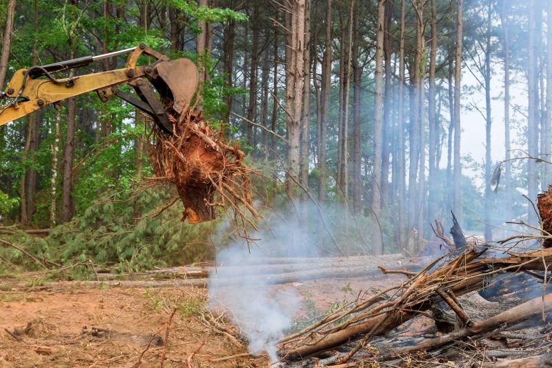 Tree Removal