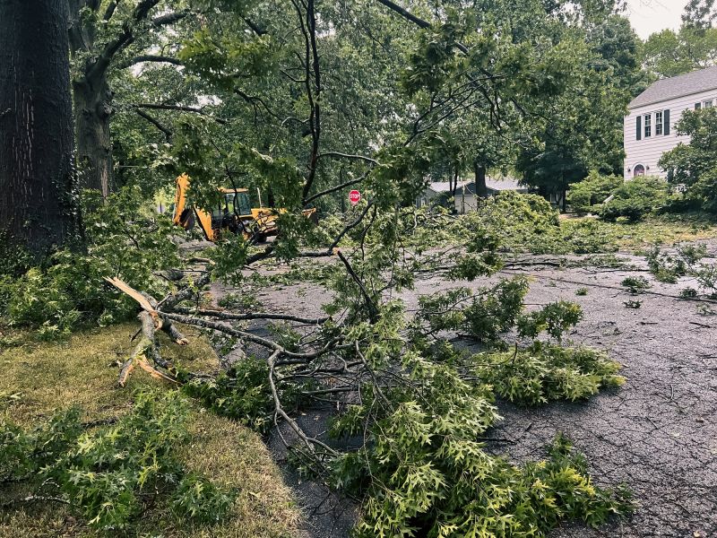 Storm Damage Tree Clearing