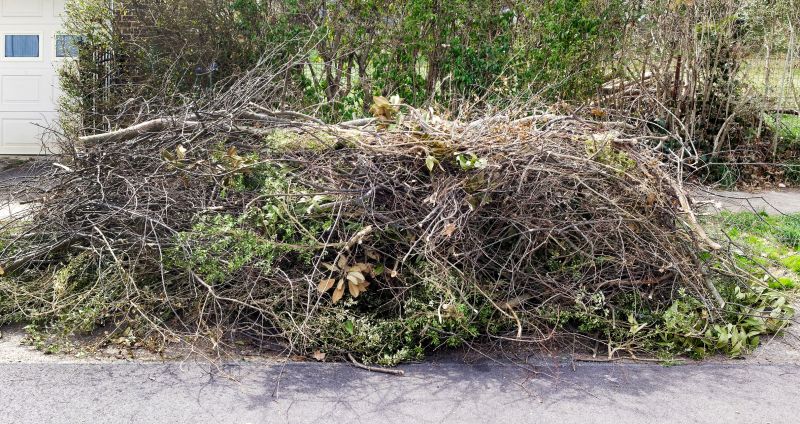 Debris Disposal