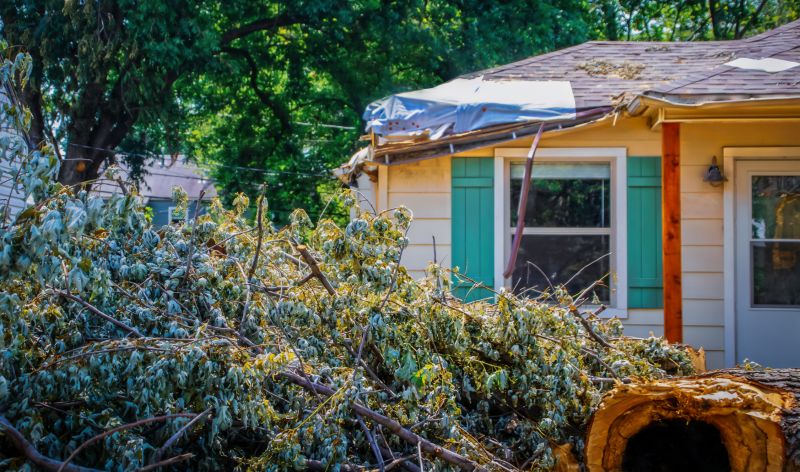 Fallen Tree Removal