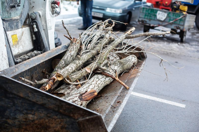 Spring Tree Pruning